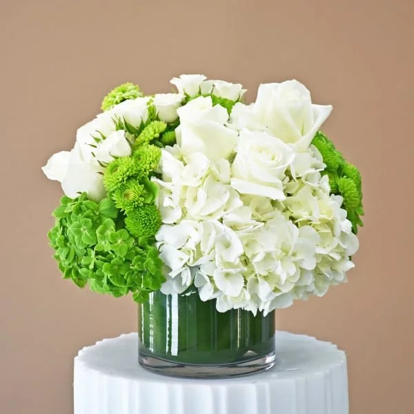 White Rose & Hydrangea Garden by Fillmore Florist | Gemma Flowers Marketplace